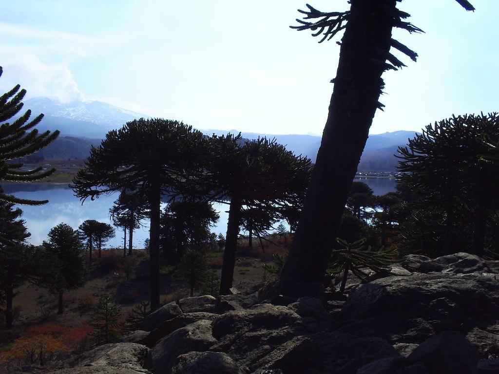 Hosteria De Montana Los Duendes Del Volcan Caviahue Zewnętrze zdjęcie